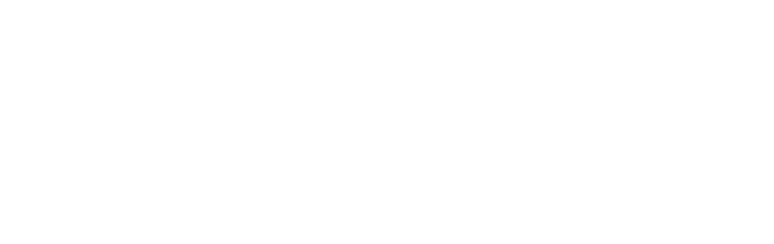 logo zawiasy renault master