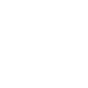 zawiasy renault master